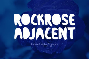 Rockrose Adjacent: A Fresh Take on Modern Typography